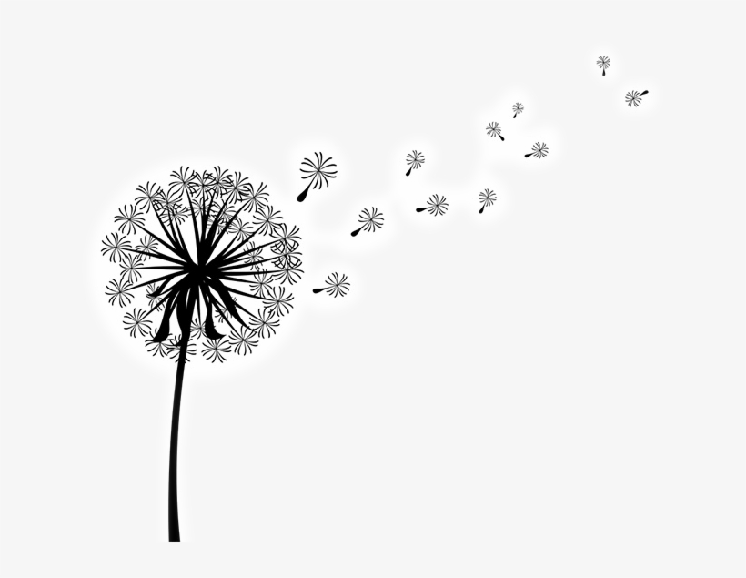 Clipart Royalty Free Library Shape Outside Tester Page - Transparent Background Dandilion Clip Art, transparent png download