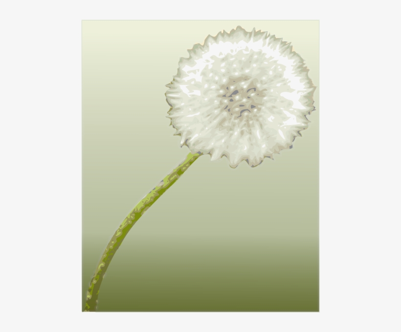 Pusteblume 2 Dandelion Clock Png Images, transparent png download