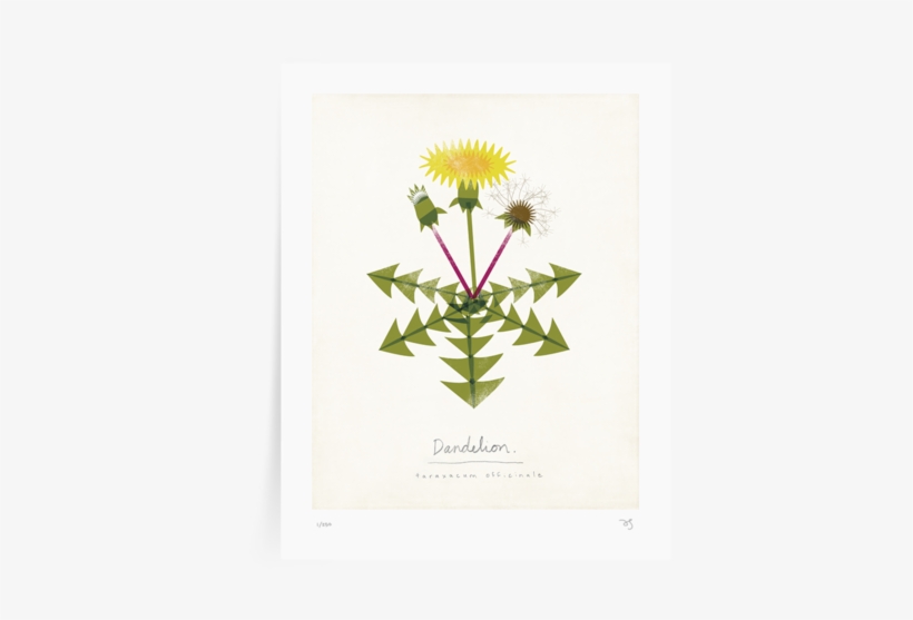 Prints - Botanical Greeting Cards, transparent png download