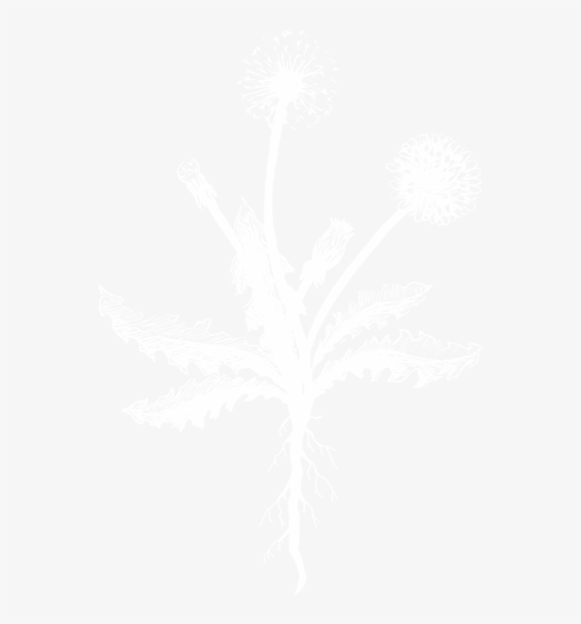 Dandelion Woman Illustration-01 - Crowne Plaza White Logo, transparent png download