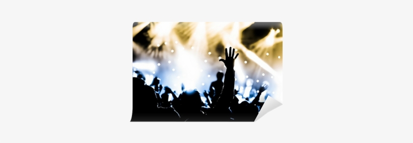 Crowd With Hands Raised At A Live Music Concert Wall - Wjec Gcse Sociology Student Book [book], transparent png download