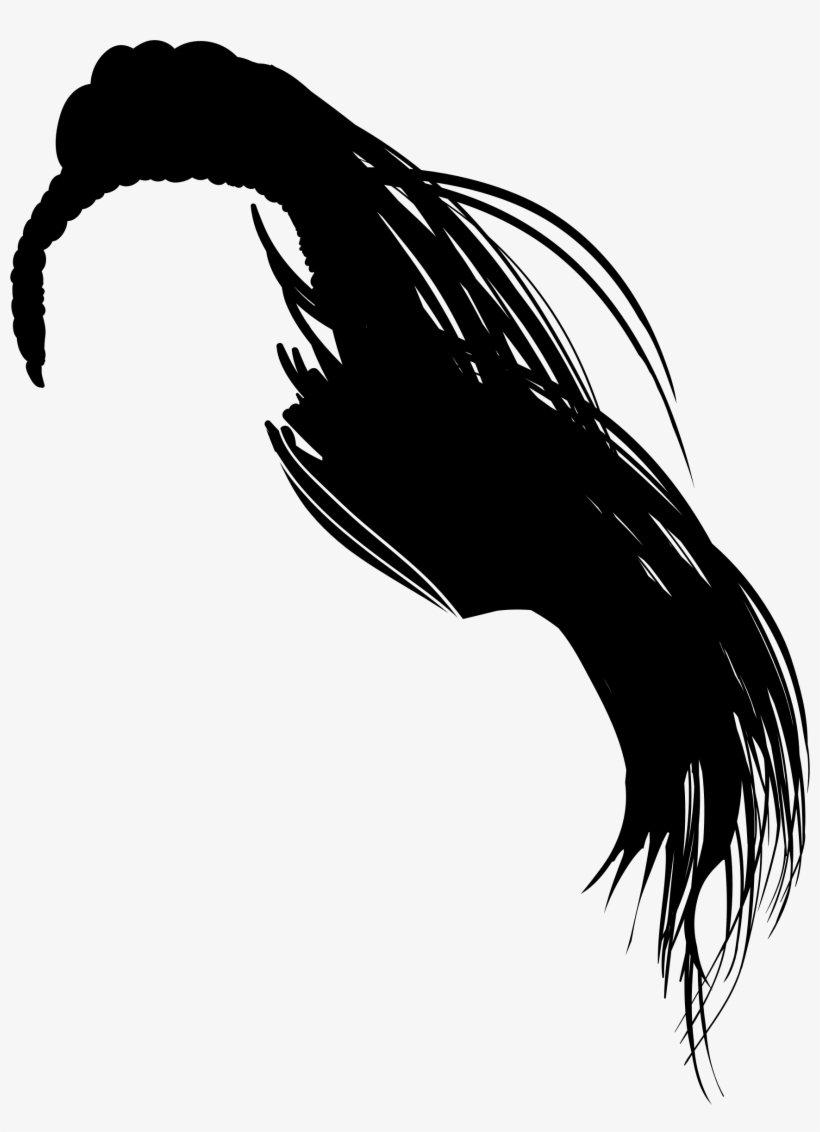 This Free Icons Png Design Of Female Hair Silhouette, transparent png download
