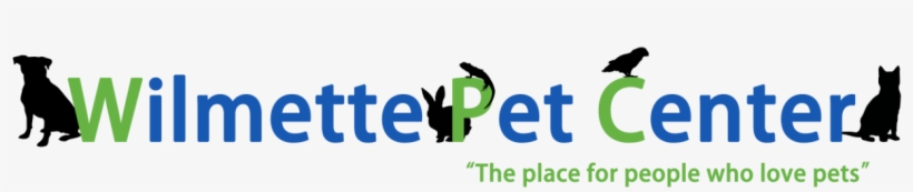 Duetto, transparent png download