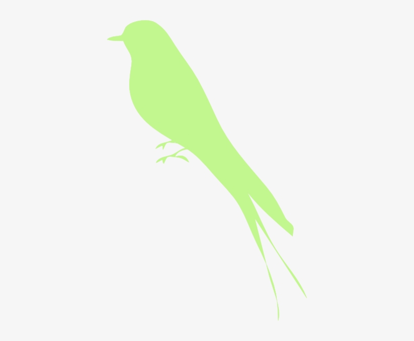 How To Set Use Bird Silhouette Clipart, transparent png download