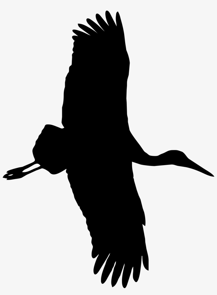 Big Image - Clip Art, transparent png download