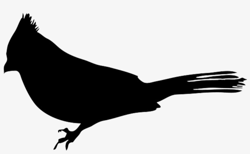 Bullfinch Silhouette - Silhouette Of A Robin, transparent png download