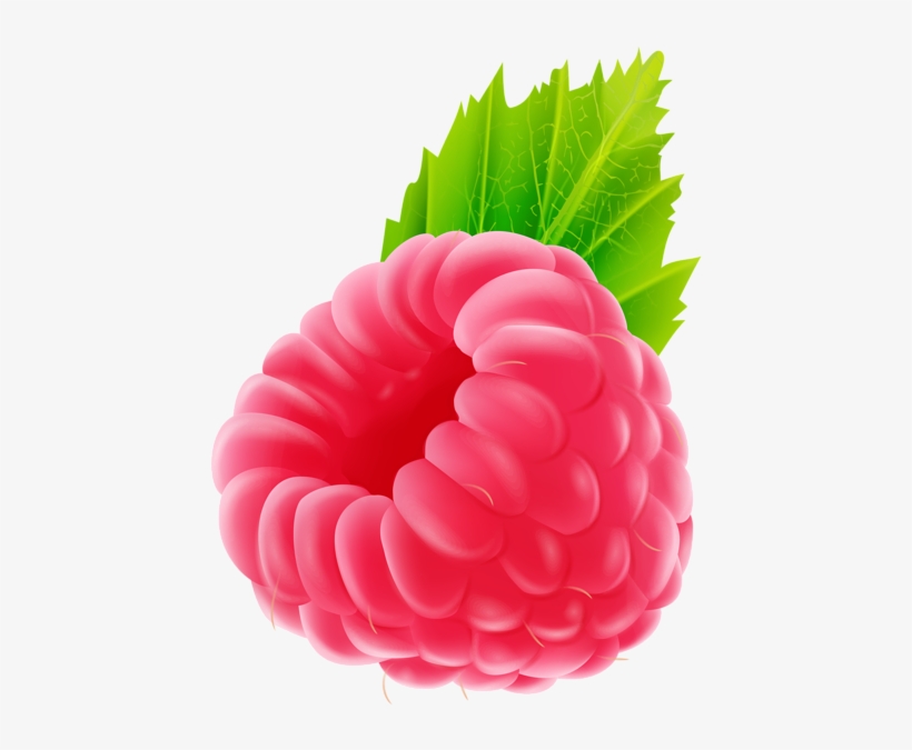 0, - Seedless Fruit, transparent png download