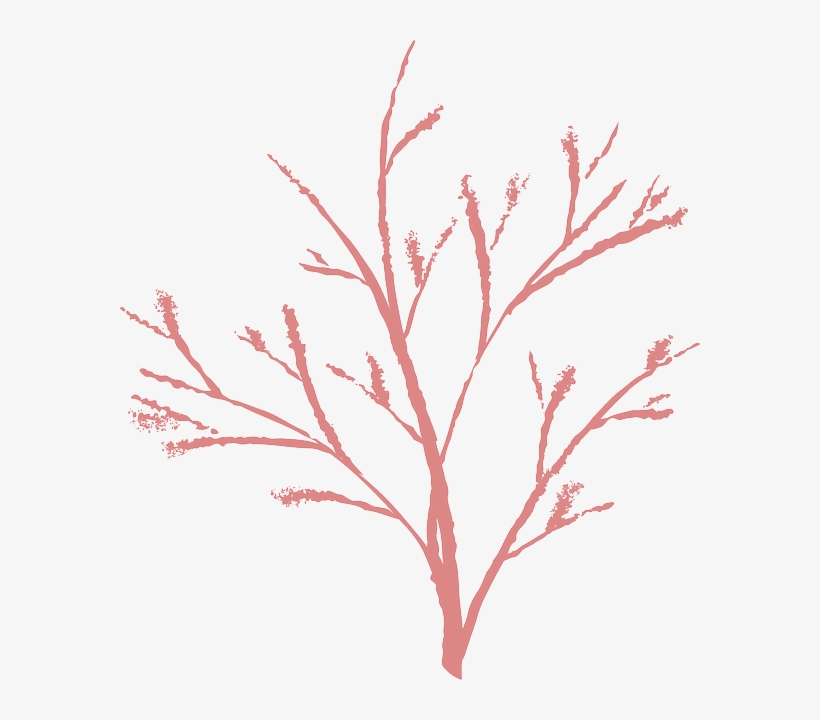 Nature, Winter, Twig, Dead, Bush - Ranting Clipart, transparent png download