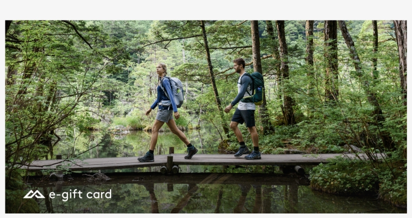 Timeless Tent On Beach - Old-growth Forest, transparent png download