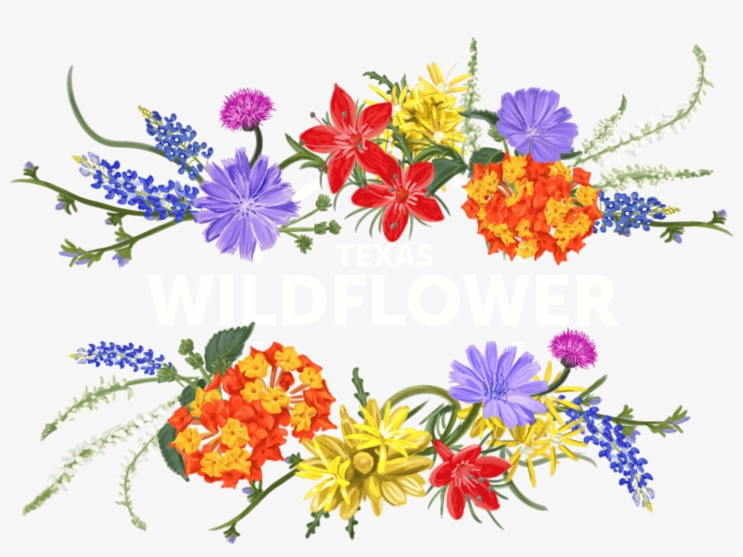 Texas Wildflower Vodka - Wildflower Clipart, transparent png download