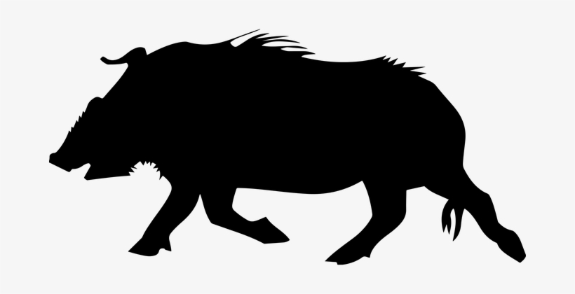 Animal Beast Boar Pig Silhouette Wild Wild - Wild Boar Silhouette Png, transparent png download