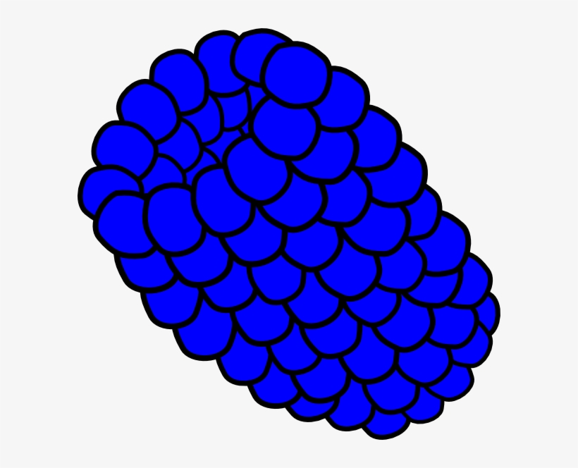Blue Raspberry Svg Clip Arts 600 X 584 Px, transparent png download