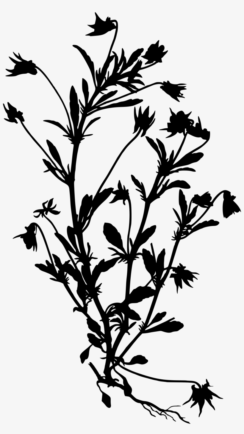 Wildflower Vector Silhouette Png Royalty Free - Viola Tricolor, transparent png download