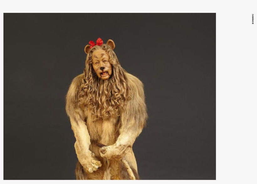 It's The Ultimate $300,000 Shoe Shine The Ruby Red - Cowardly Lion Png, transparent png download