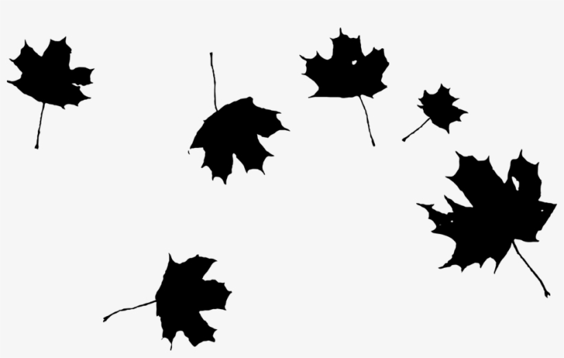 Picture Transparent Stock Autumn Png Transparent Maple - Grape Leaf Clip Art, transparent png download