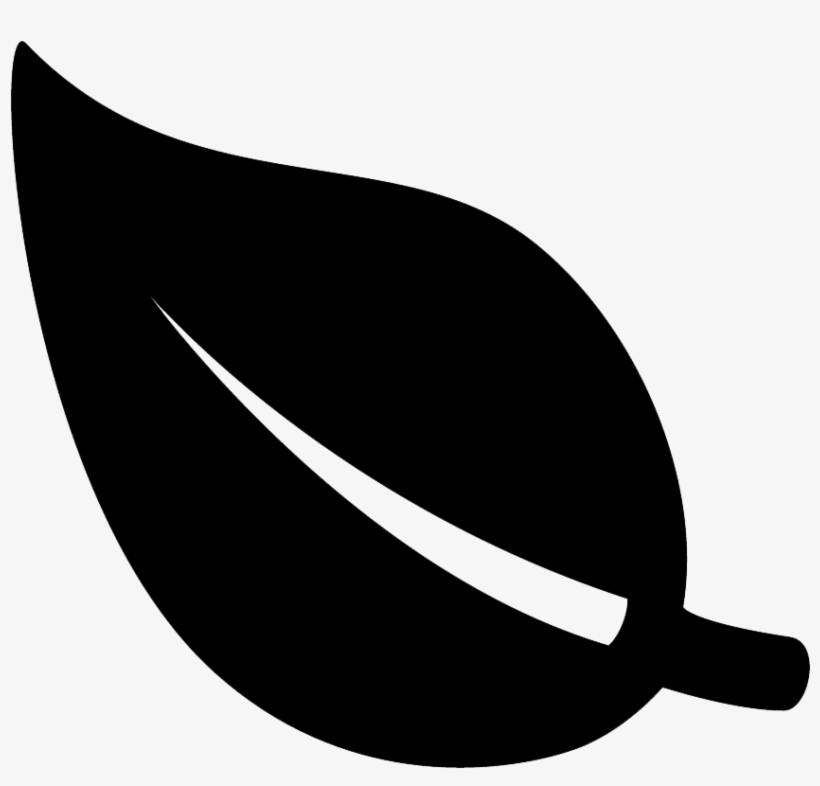 Download Forest Background Svg Leaf Transparent Png 1050x1050 Free Download On Nicepng