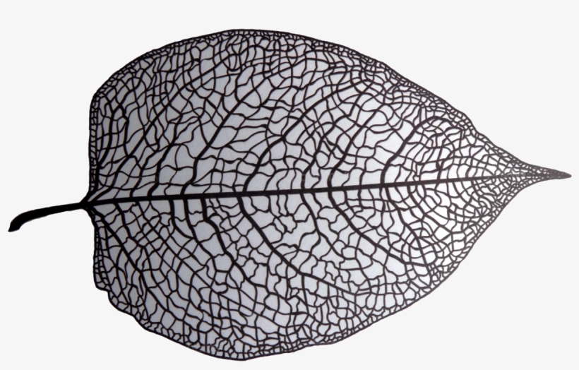 Black And White Skeleton Leaf - Leaf Skeleton Black And White, transparent png download