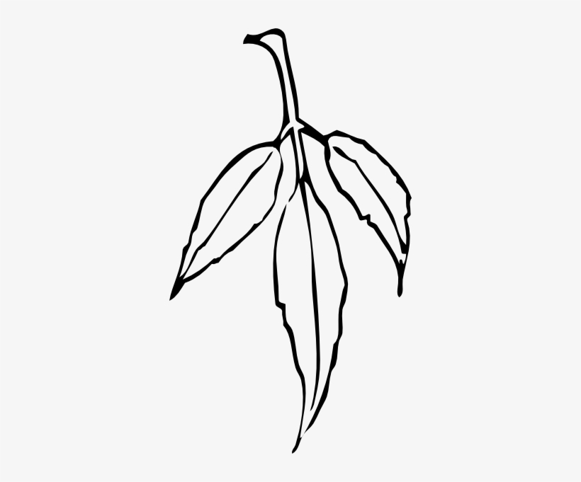 How To Set Use Leaf Svg Vector, transparent png download