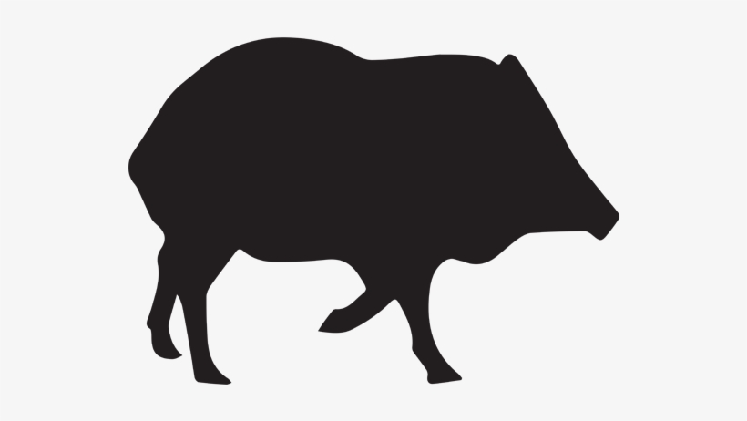 2018 Javelina / Turkey Hunting Rates - Javelina Silhouette, transparent png download