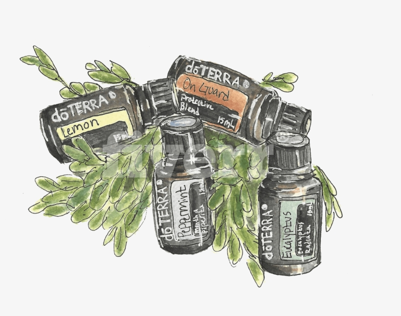 Do A Watercolor And Ink Illustration Of Whatever You - Glass Bottle, transparent png download