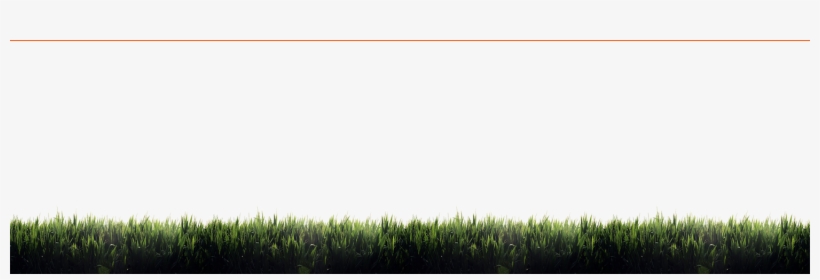 Cornfield2 - Field, transparent png download