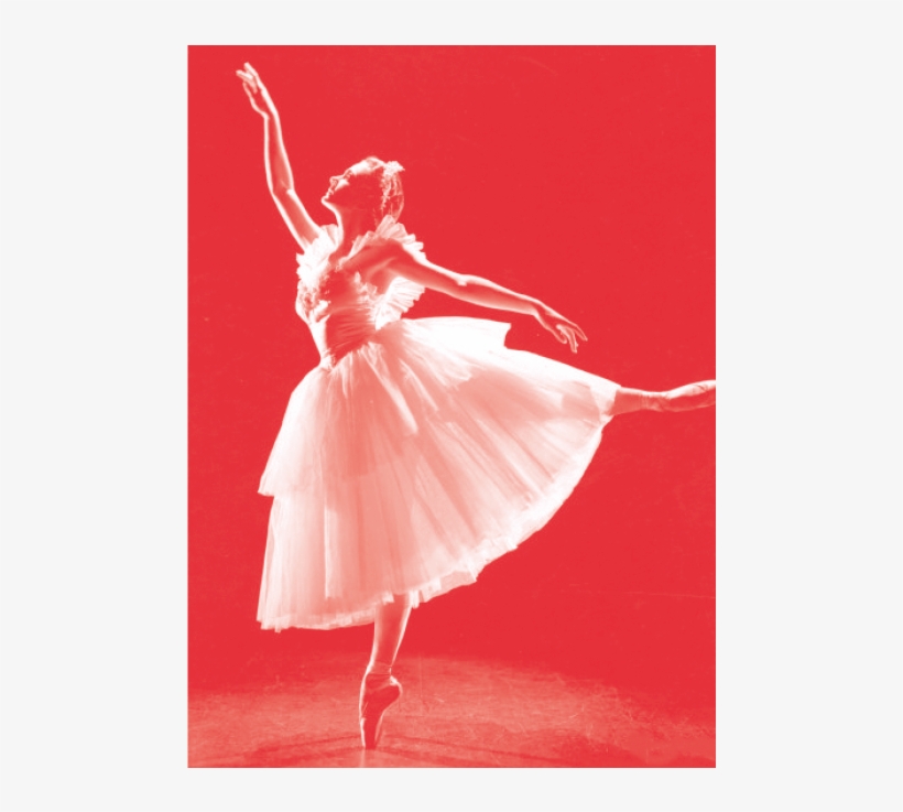 “principal Dancer” Is The Highest Rank That Can Be - Ballet, transparent png download