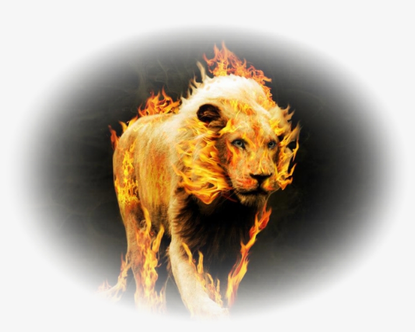 "ark" For The Name "yhvh" Both The Oral Torah & The - Wallpaper, transparent png download