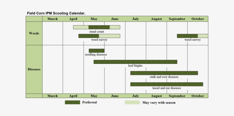 Related Materials - Calendar Of Activities For Maize Production, transparent png download