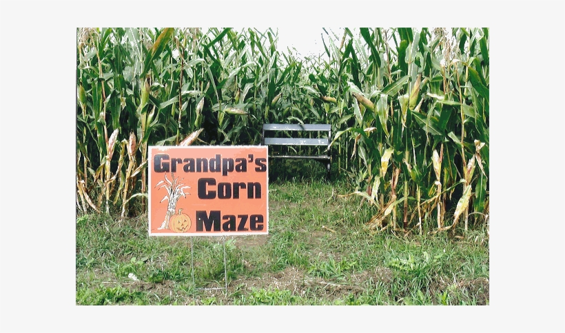 Field, transparent png download