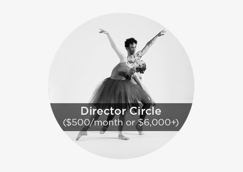Director Donation Circles - Portable Network Graphics, transparent png download