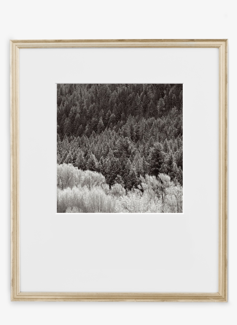 Certificate Antique Silver - Picture Frame, transparent png download