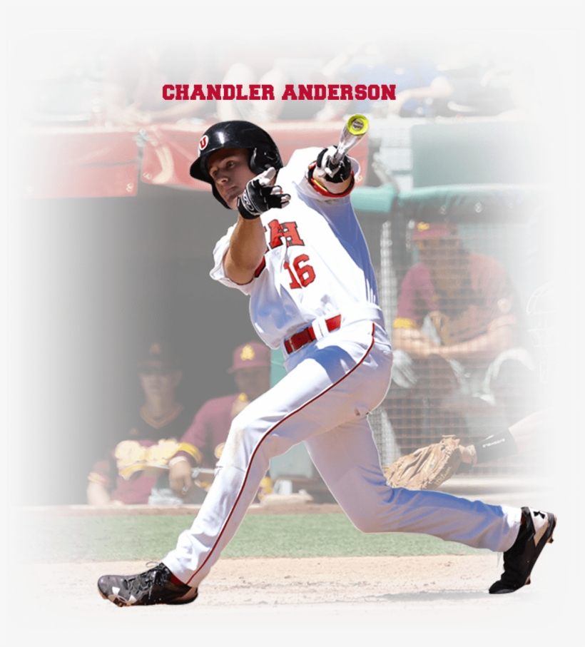 Connect With The Utes On Social Media - College Softball, transparent png download