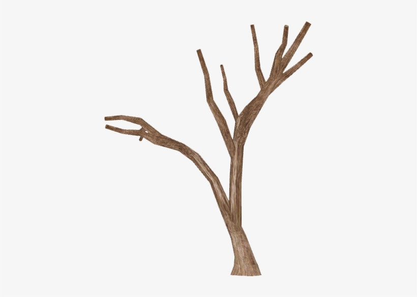 Dead Tree - Dead Tree Branch Png, transparent png download