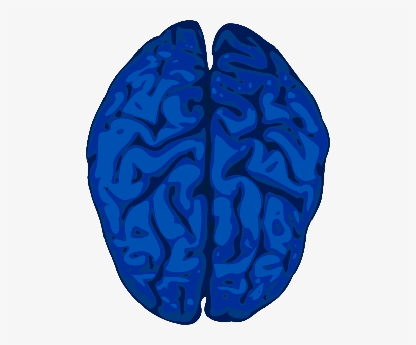 Blue Brain Svg Clip Arts 480 X 601 Px, transparent png download
