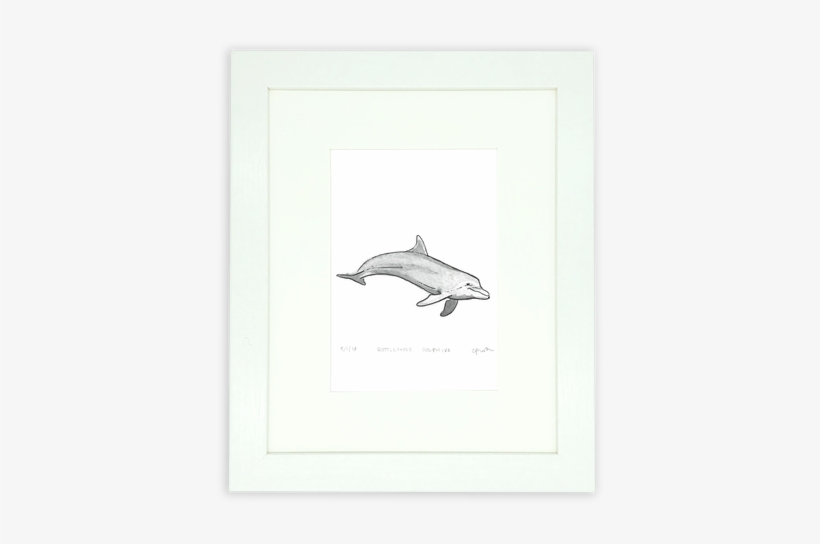 One Thing I Love About Living In New Smyrna Beach Is - Bottlenose Dolphin, transparent png download