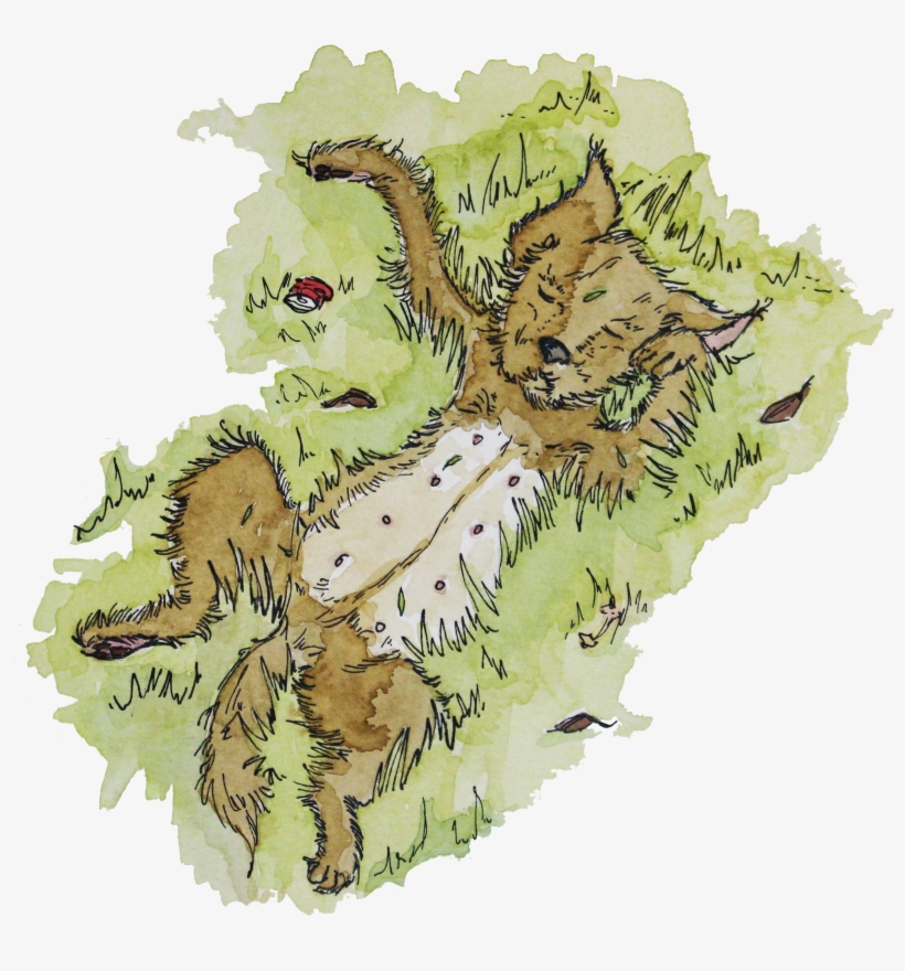 Perro Pasto, Libro "perros Patipari Perros" De Pánico - Illustration, transparent png download