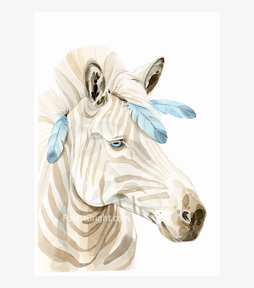 Van - Stallion, transparent png download