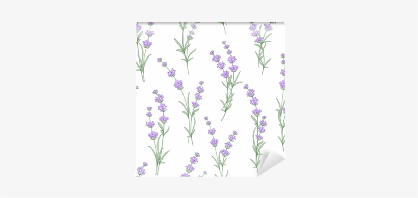Seamless Pattern Of Lavender Flowers On A White Background - Lavendel Bloemen Stof, transparent png download