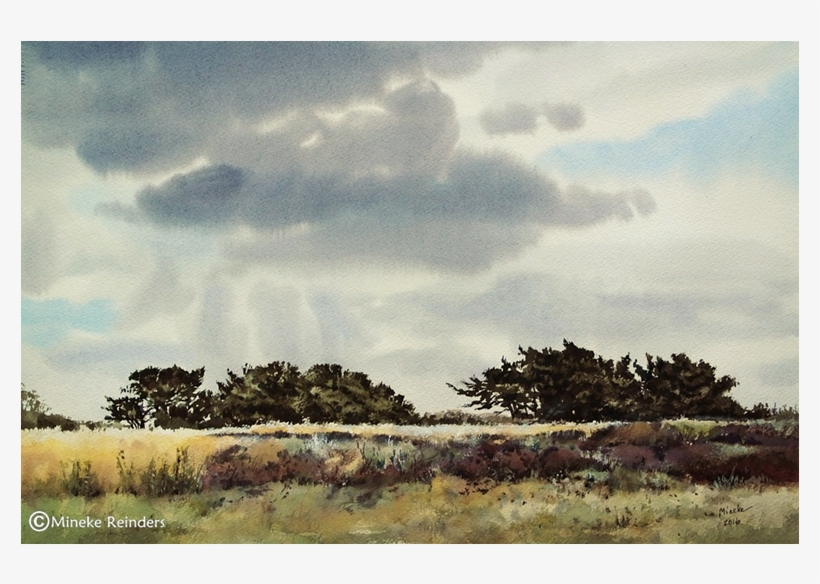 Field With Distant Junipers Watercolor, 36×54 Cm - Painting, transparent png download