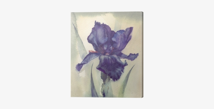 Watercolor Flower Collection - Iris, transparent png download