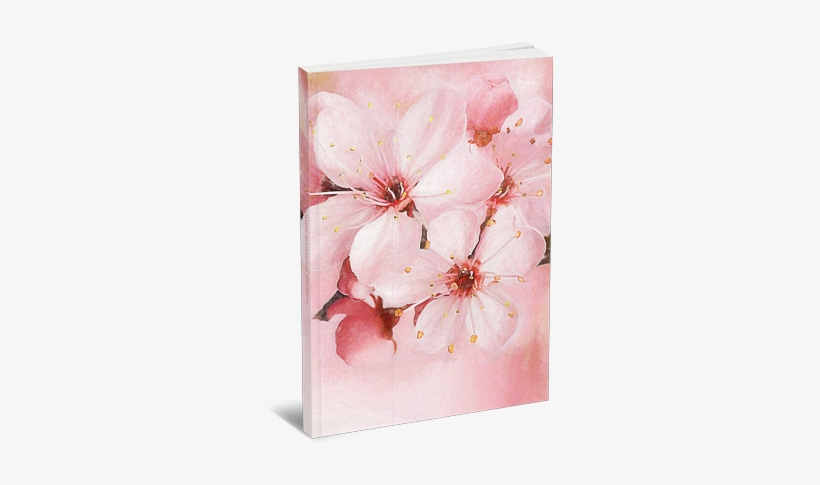Floral Designs - Stendenbach Online 150x105 Cm Fototapete Spring Cherry, transparent png download