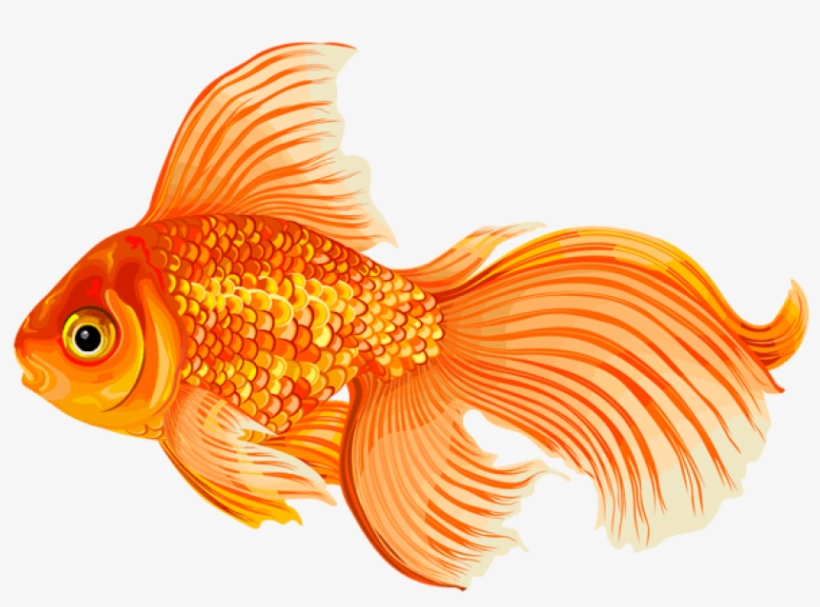 Portable Network Graphics, transparent png download