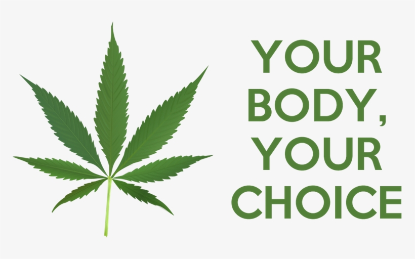The Libertarian Argument For Legalizing Marijuana - Your Body Your Choice Marijuana, transparent png download