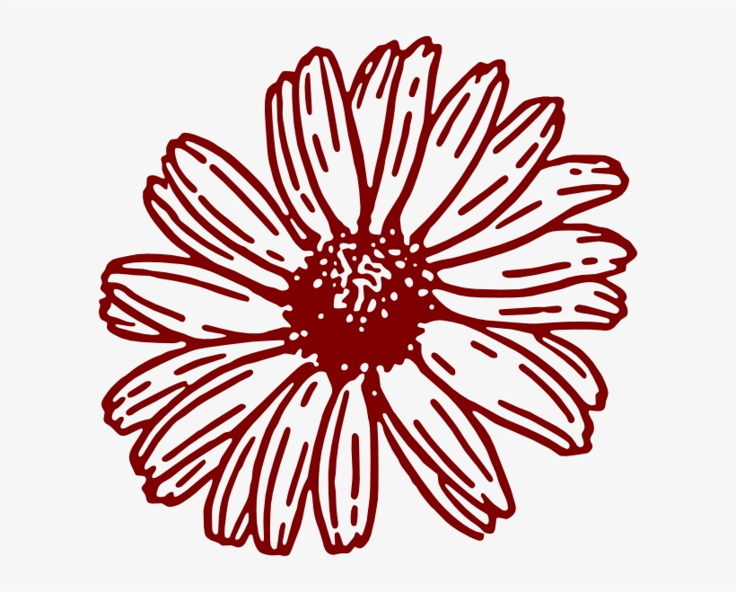 Maroon Flower Cliparts - Gerbera Daisy Png Clipart, transparent png download