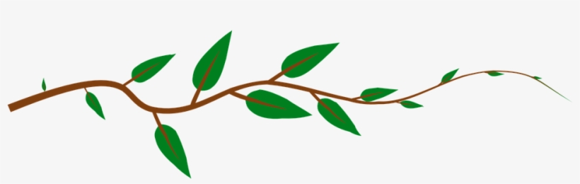 Vine Leaves Green Plant Vine Vine Vine Vin - Leaves On A Stick, transparent png download