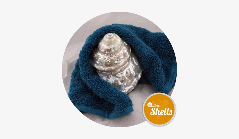 Pearl - Wavy Turban, transparent png download