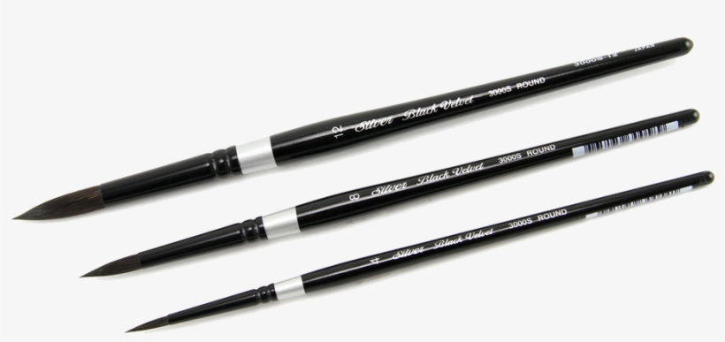 Silver Brush Susan Louise Moyer Basic Brush Set Of - Brush, transparent png download
