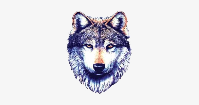 74 Images About Nature Transparents On We Heart It - Wolf Tattoo, transparent png download