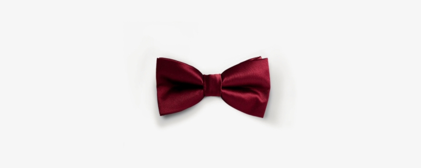 Other Related Products - Essential Oil, transparent png download