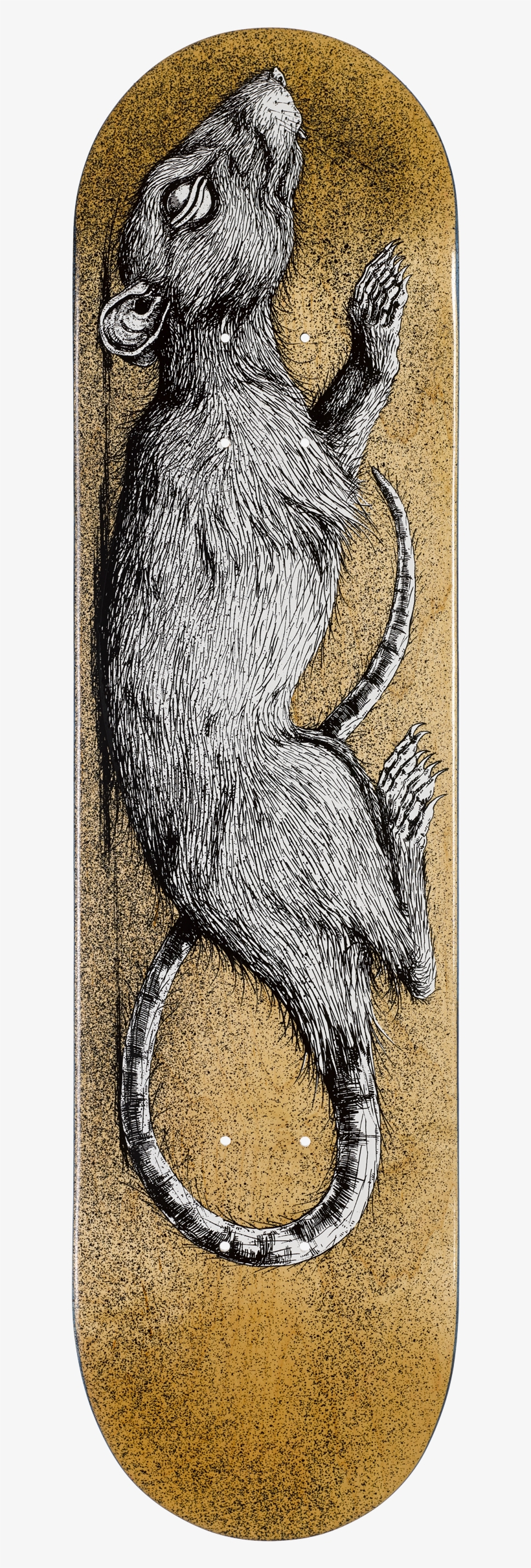 Visual Arts, transparent png download